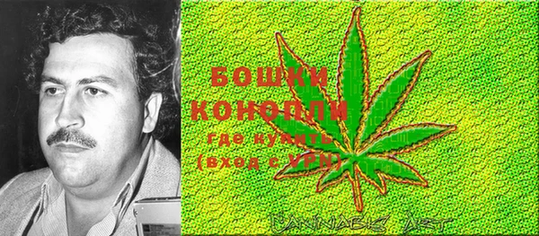 шишки Осташков