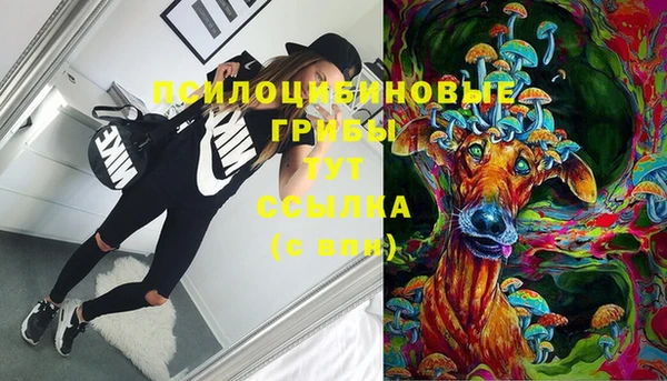 шишки Осташков