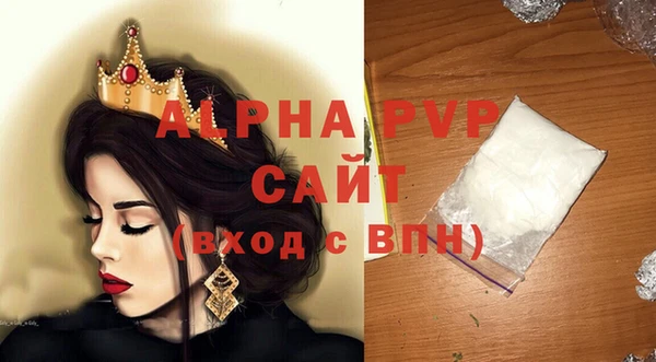 шишки Осташков